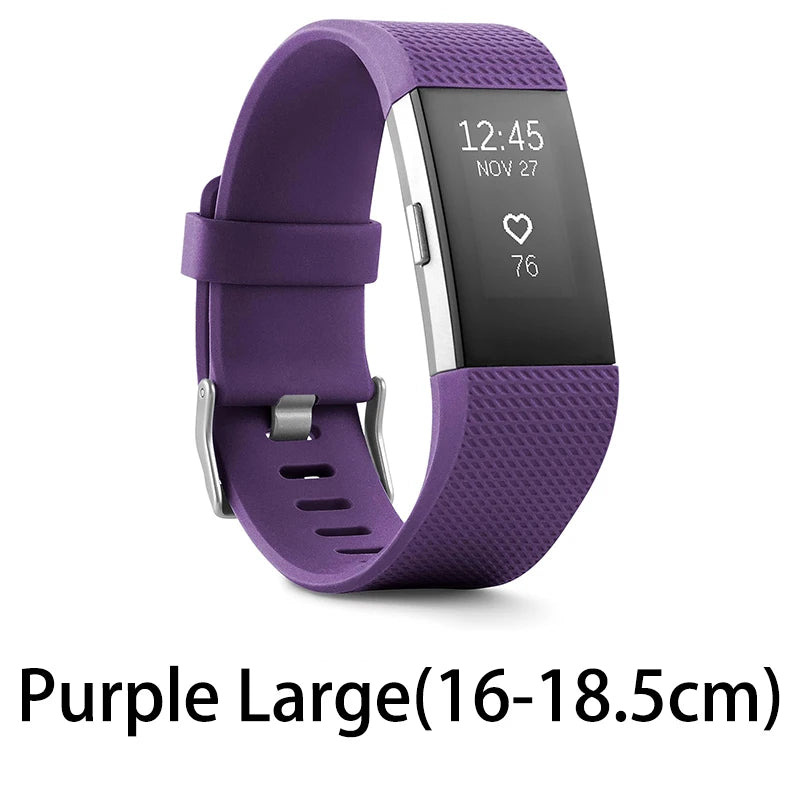 Fitbit Fitness Tracker