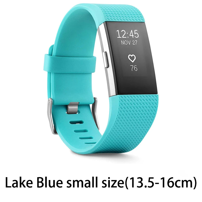 Fitbit Fitness Tracker