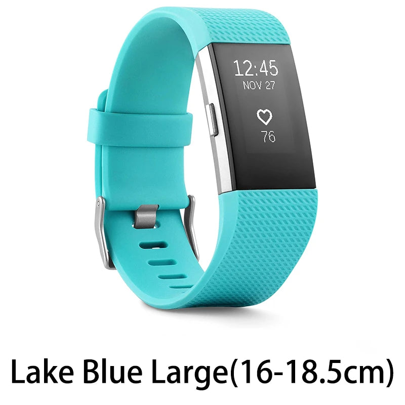Fitbit Fitness Tracker