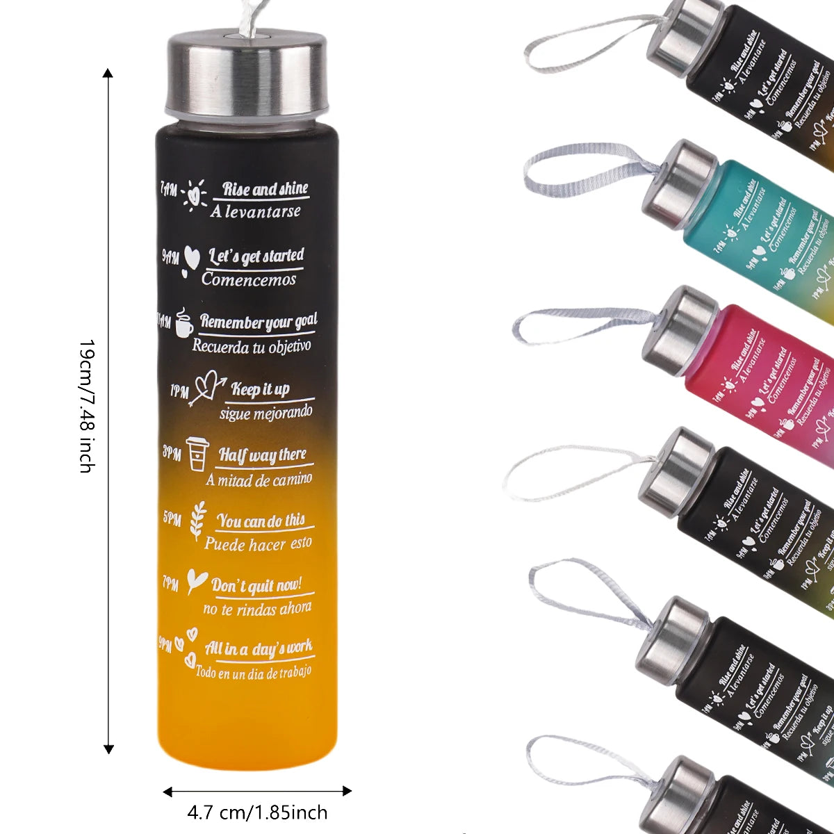 Water Bottle BPA Free
