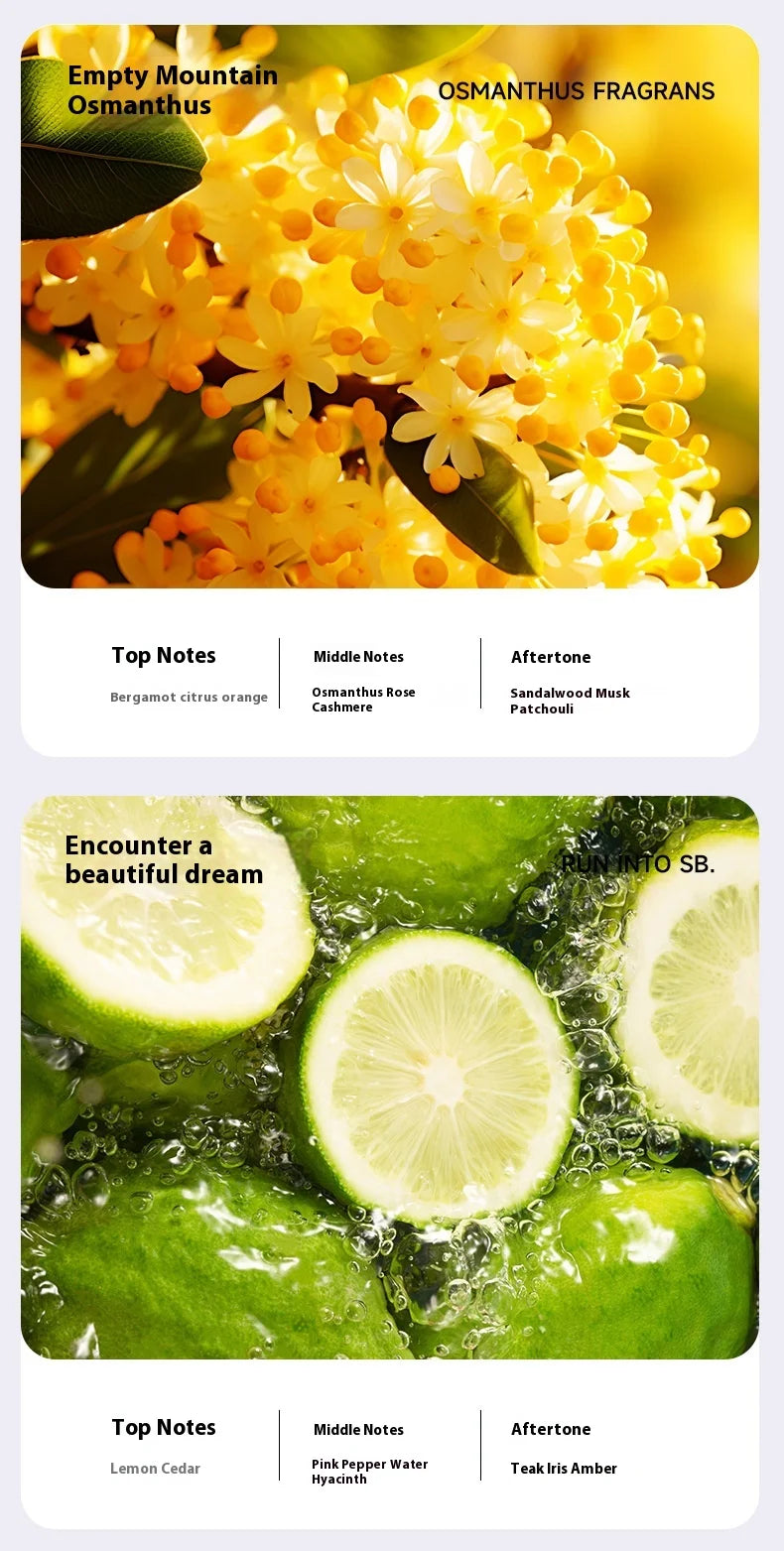 New Intelligent App Aromatherapy Machine Humidifier