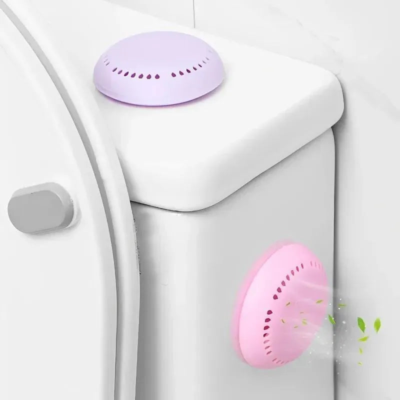 Fragrance Lasting Deodorization