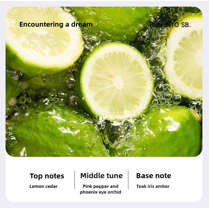 Aromatherapy Machine Humidifier