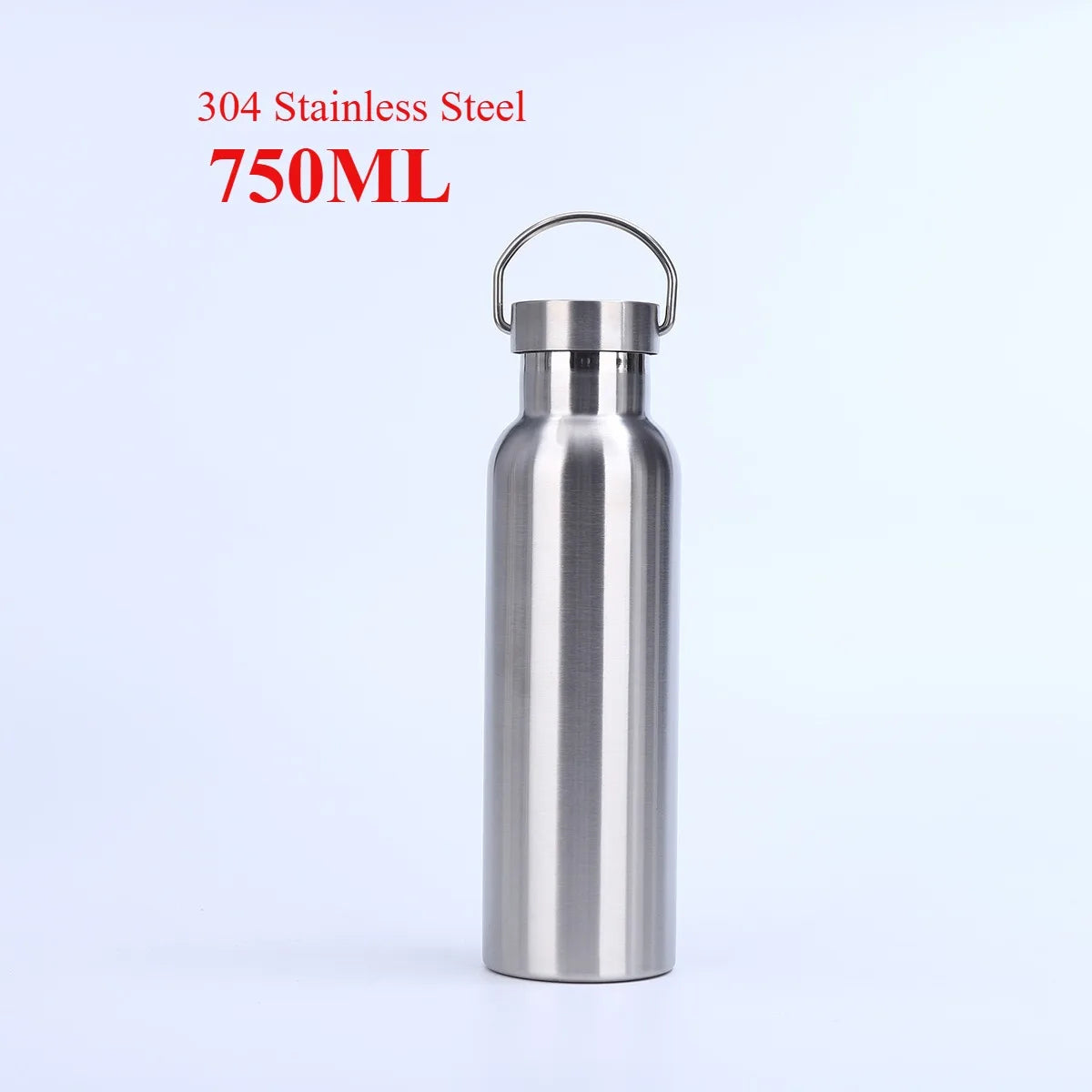 Stainless Steel Water Bottle