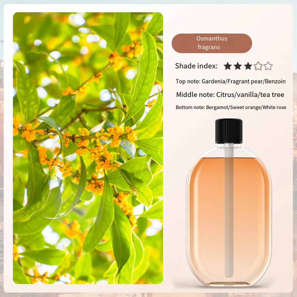40ml Aromatherapy Essential Oil